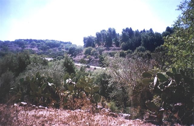 photo16.jpg