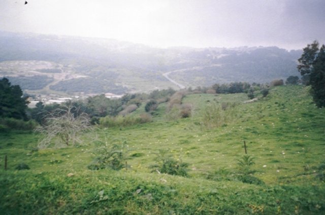 photo19.jpg