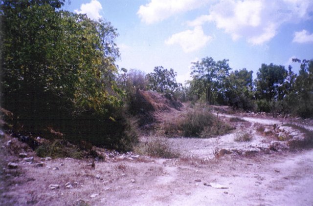 photo33.jpg