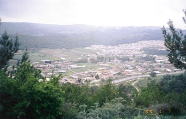 photo51.jpg