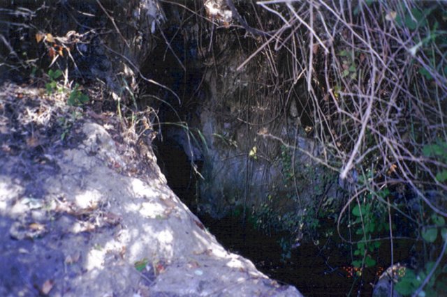 photo66.jpg