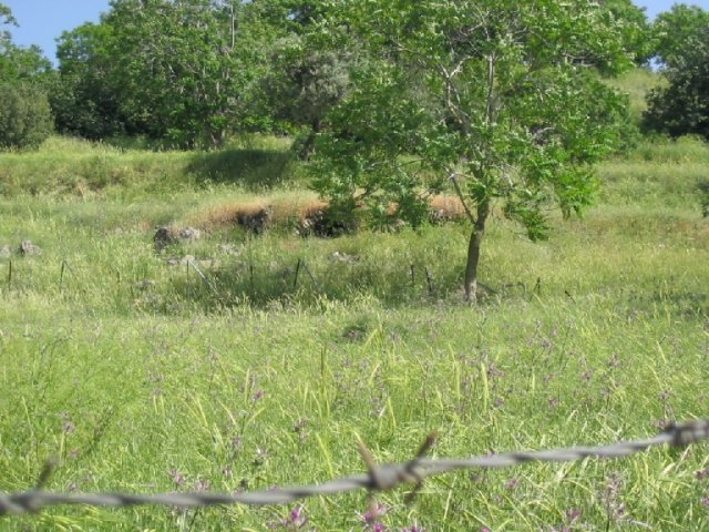 photo7.jpg